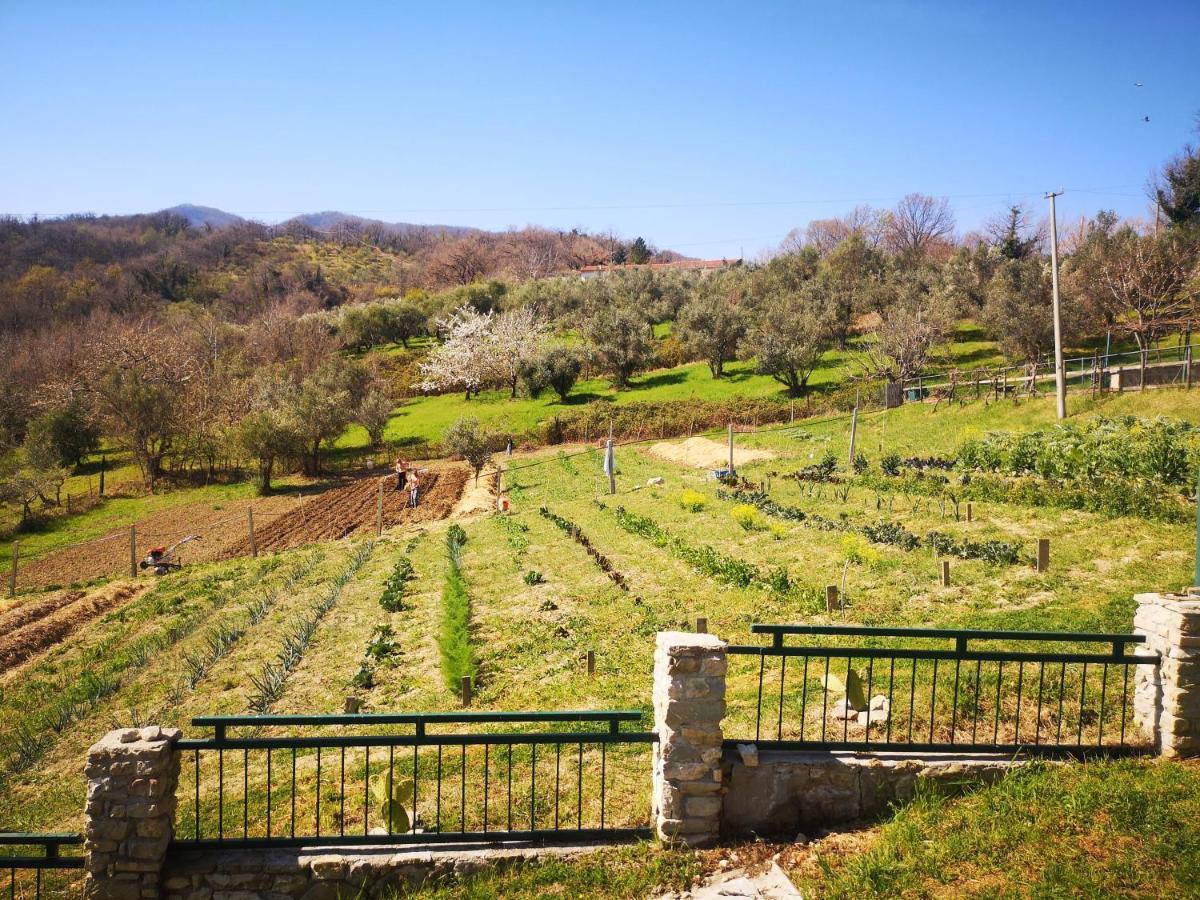 Agriturismo Olimpo Villa Santa Maria  エクステリア 写真
