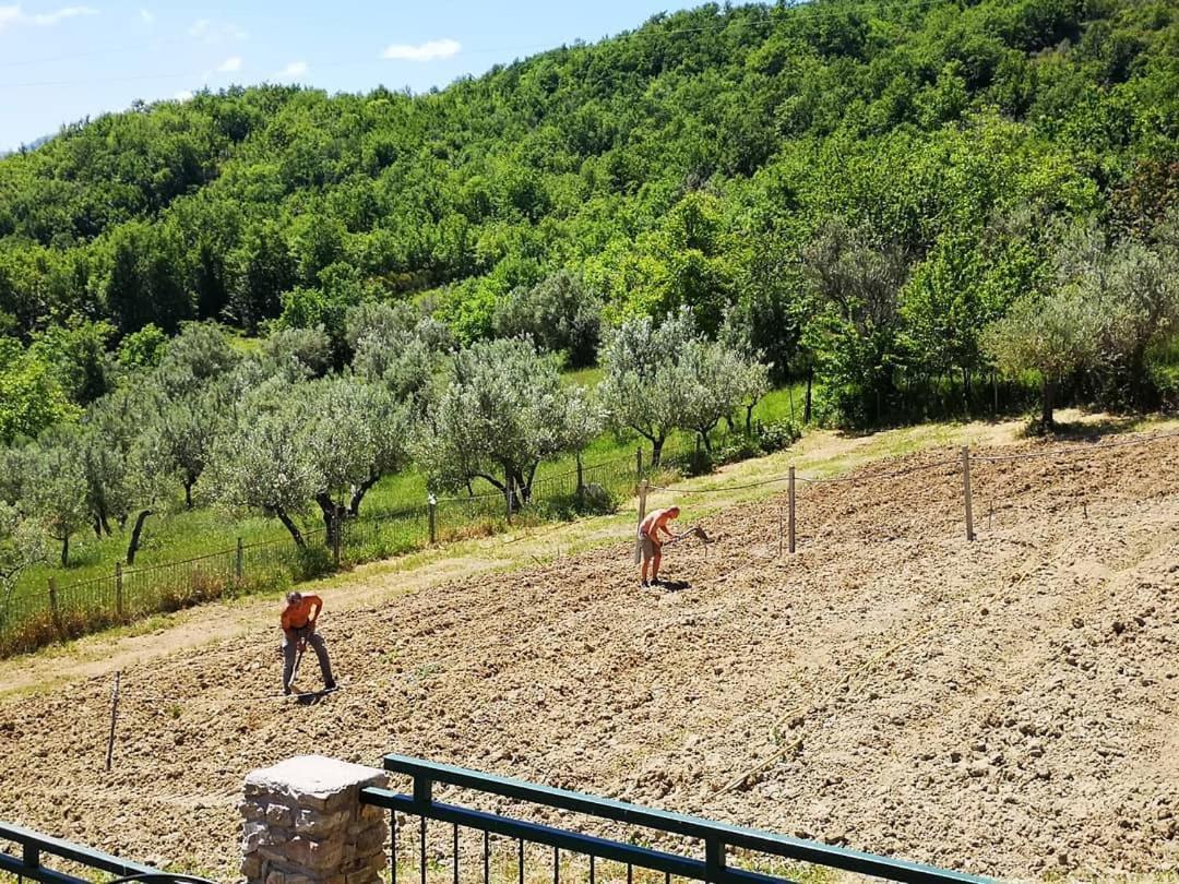 Agriturismo Olimpo Villa Santa Maria  エクステリア 写真
