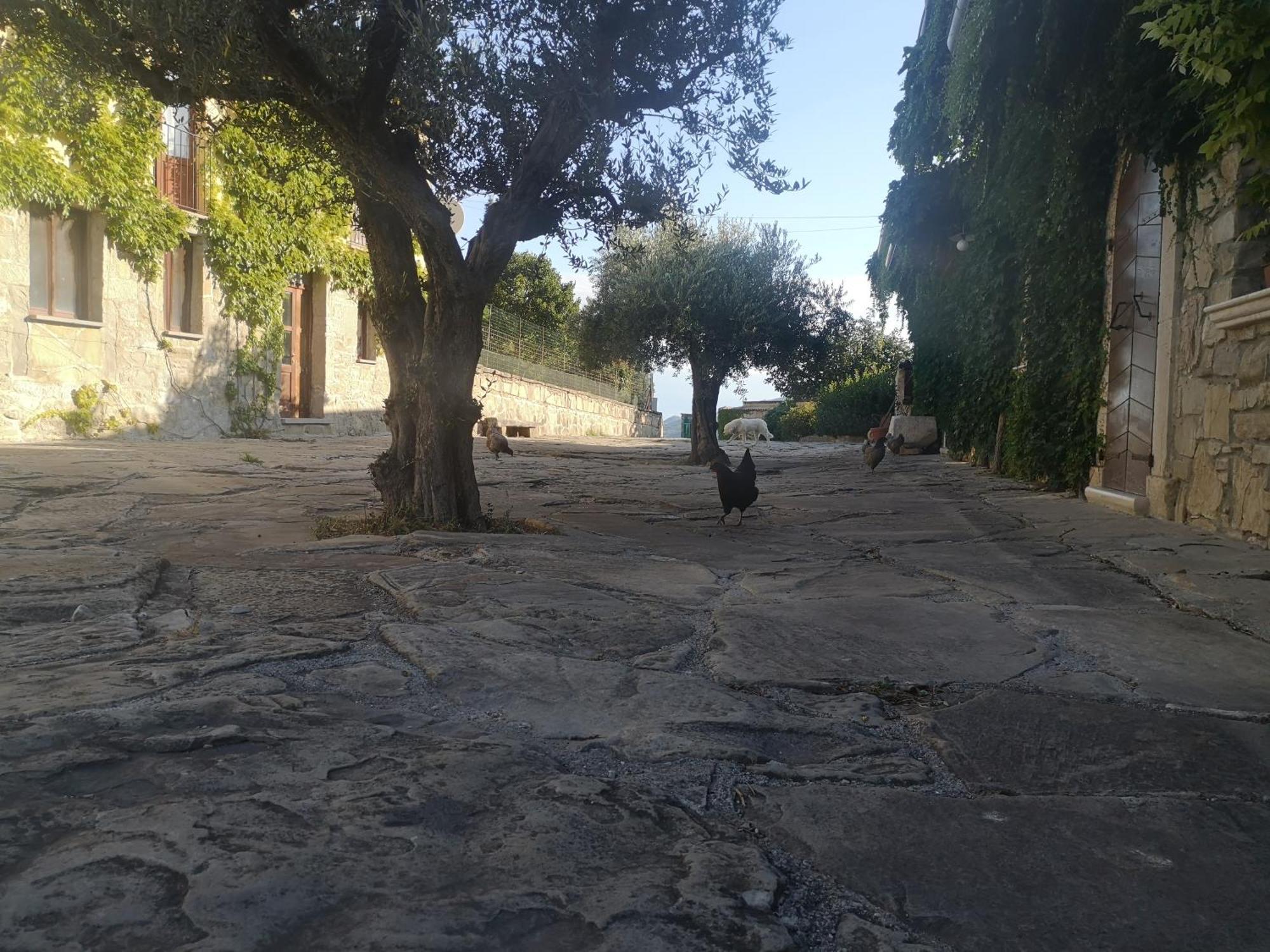 Agriturismo Olimpo Villa Santa Maria  エクステリア 写真